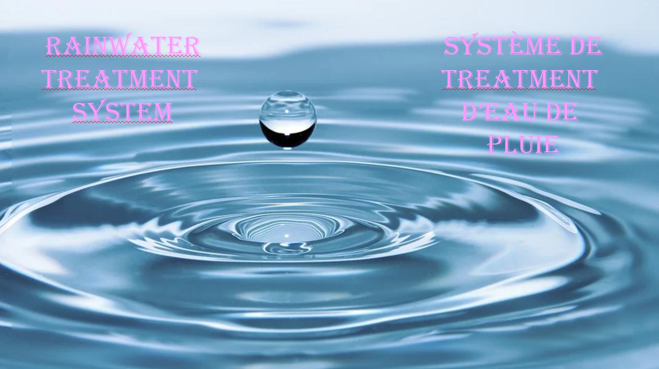 Rainwater treatment system