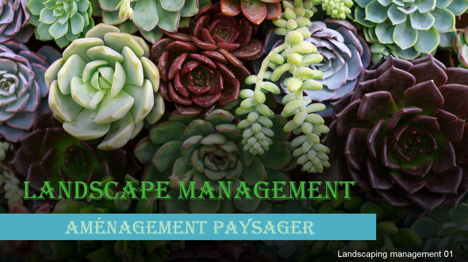 Landscape management 01B