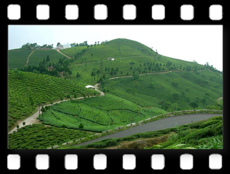 "Madanapalle9</p