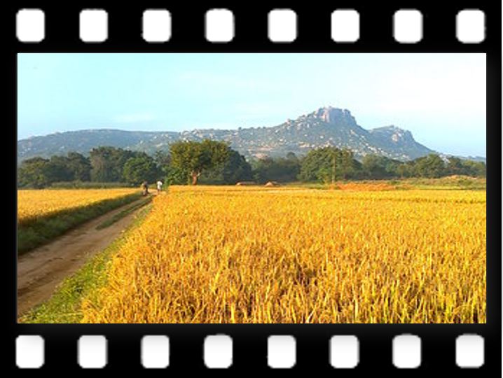 "Madanapalle14</p