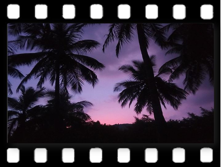 "Madanapalle21</p