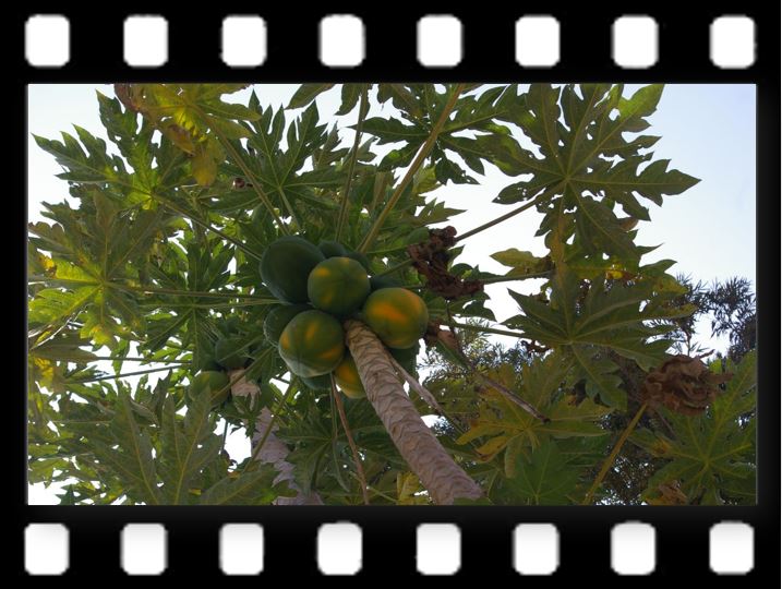 "Madanapalle22</p