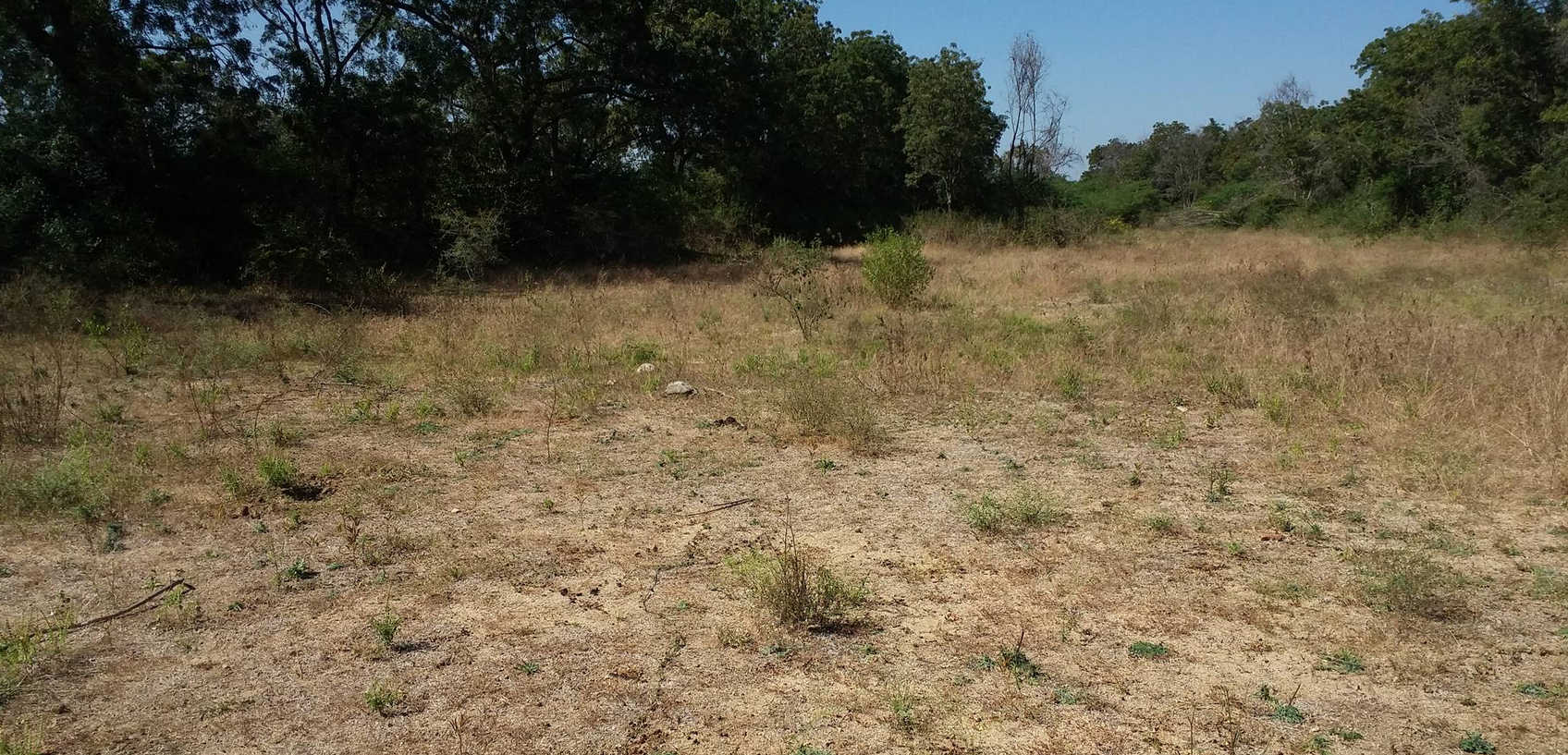 Land 1