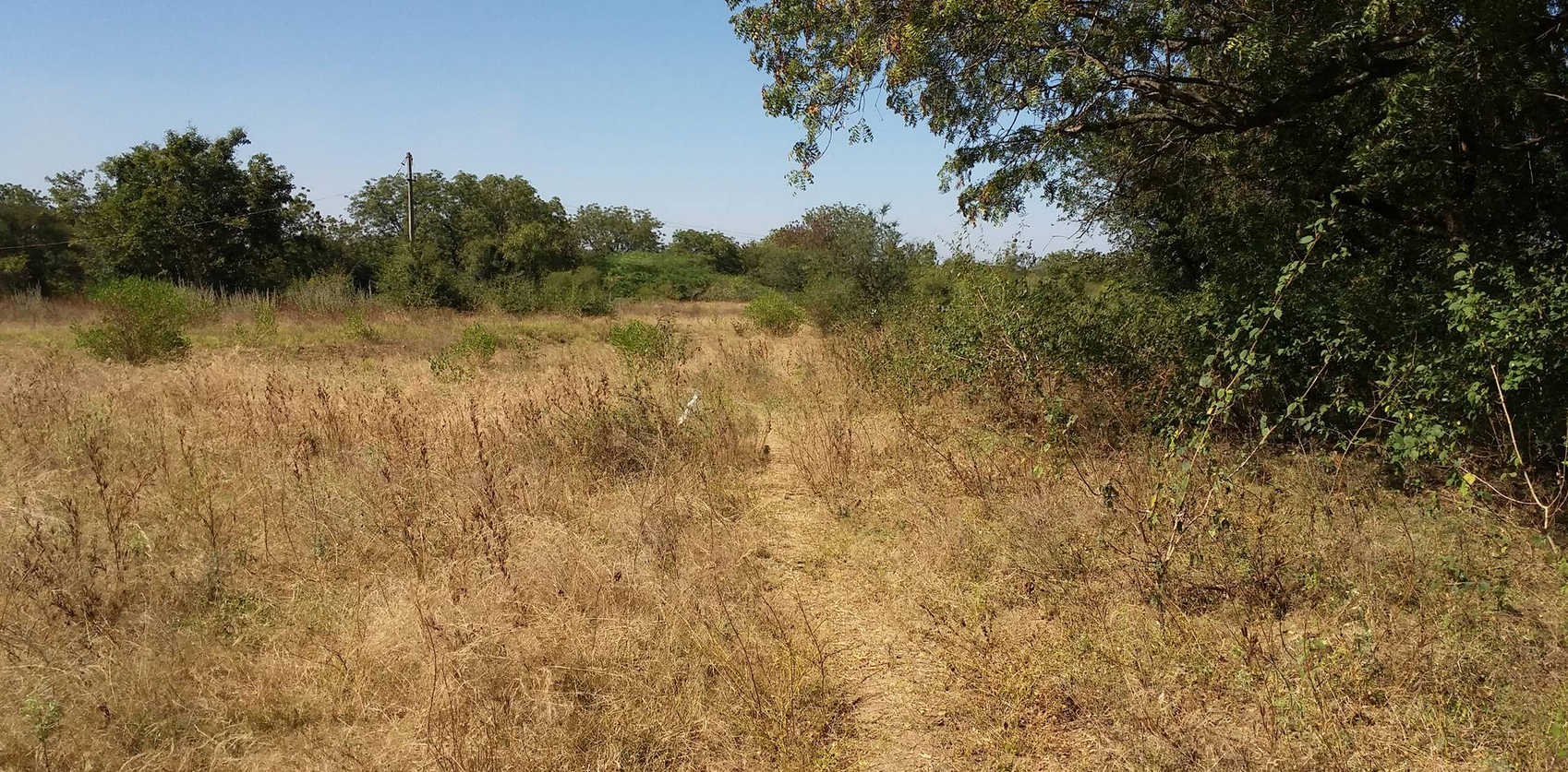 Land 2