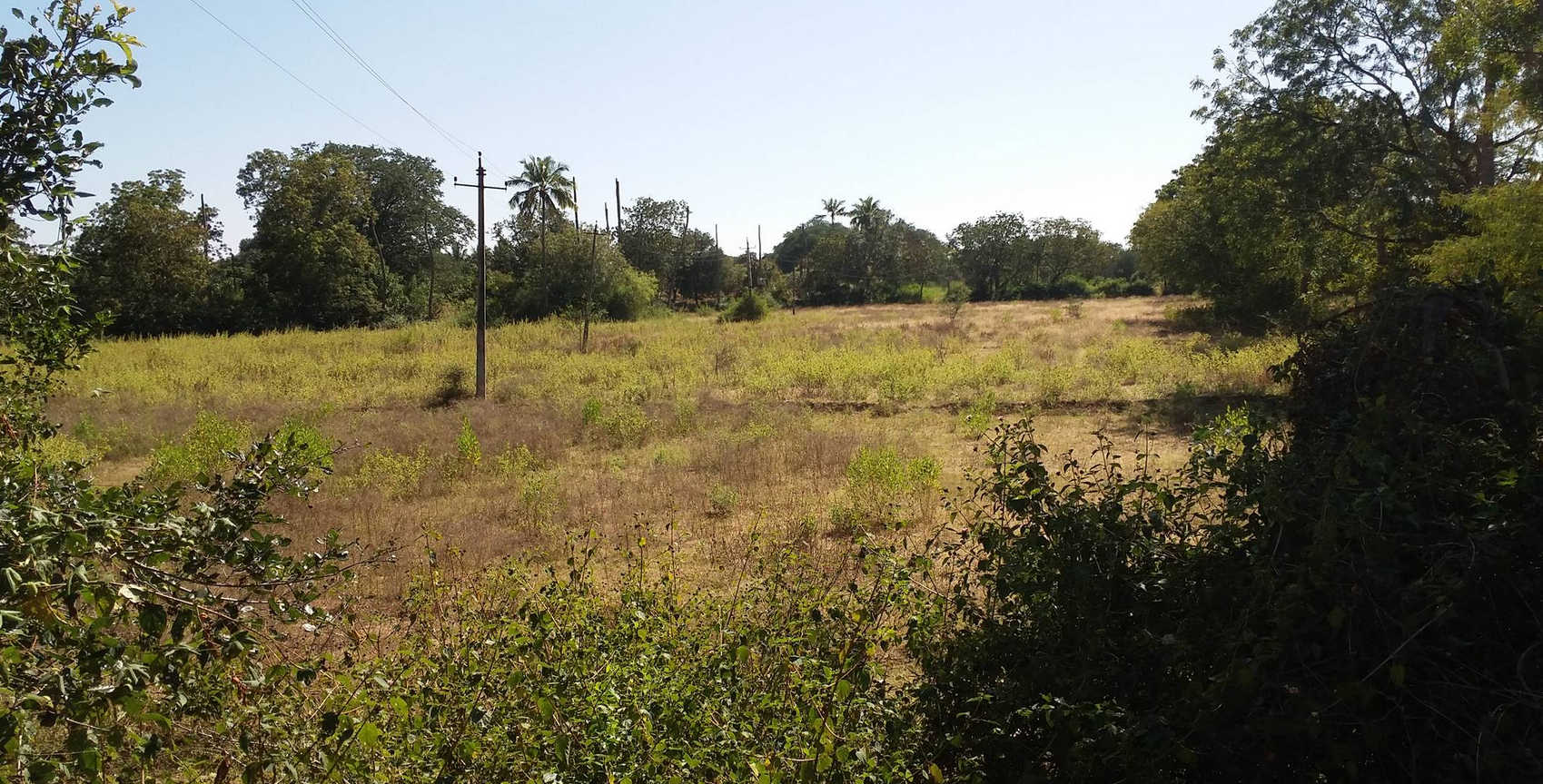 Land 3