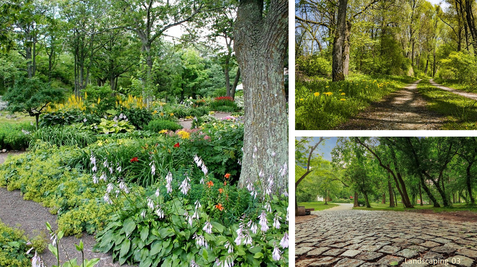 Landscaping 03