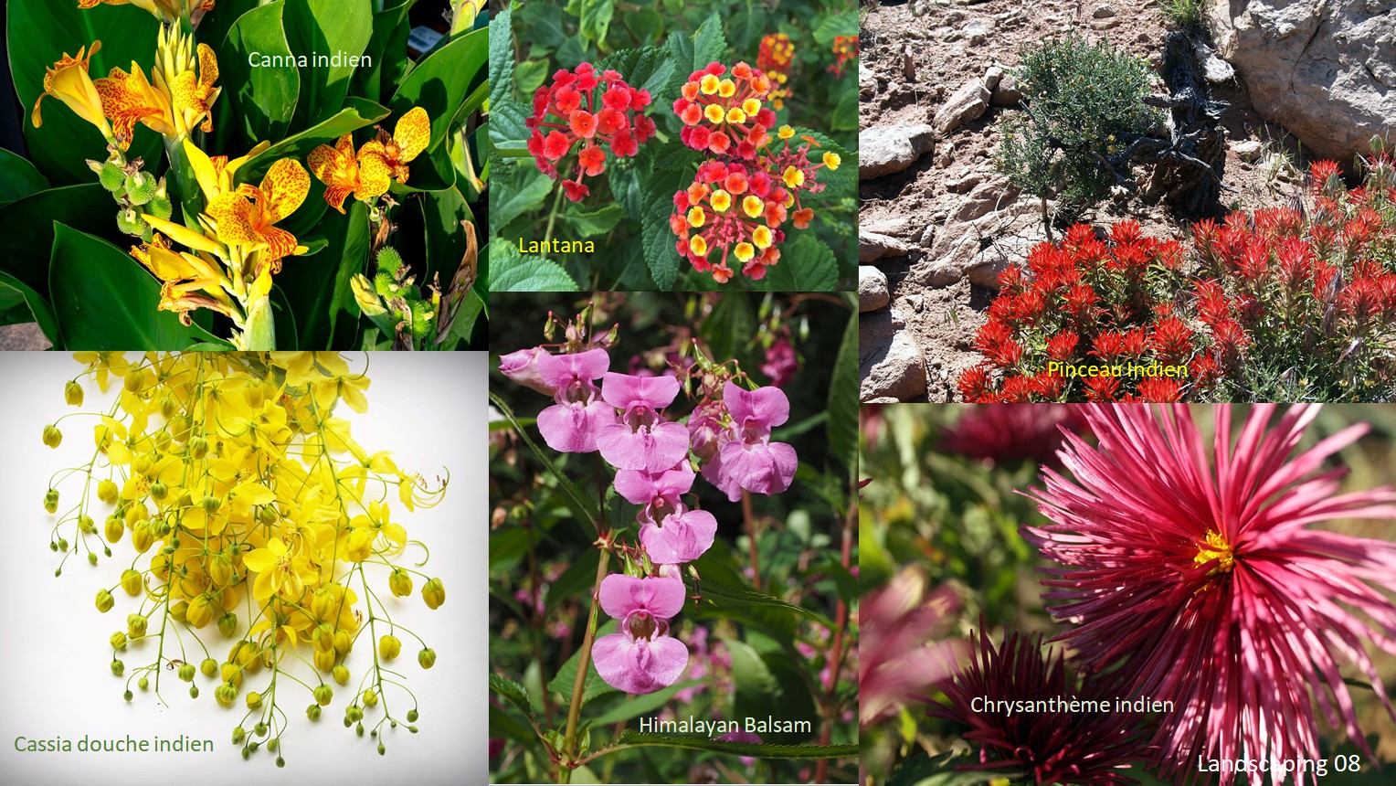 Landscaping 08