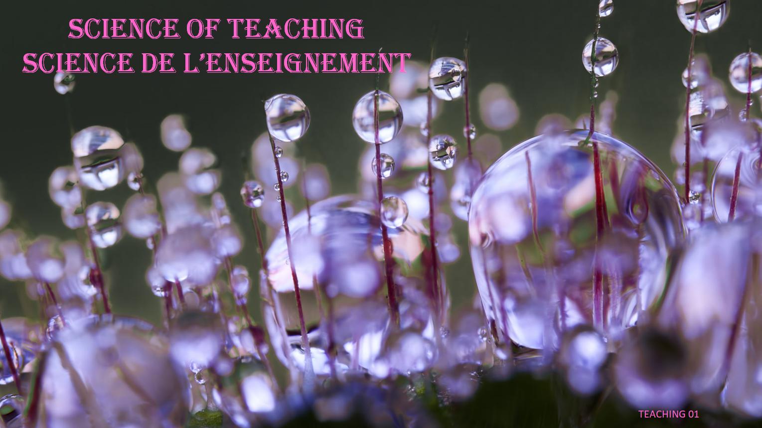 Teaching 01